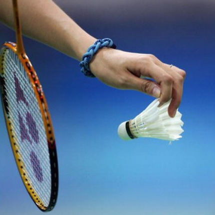 Федерация бадминтона Нижегородской области