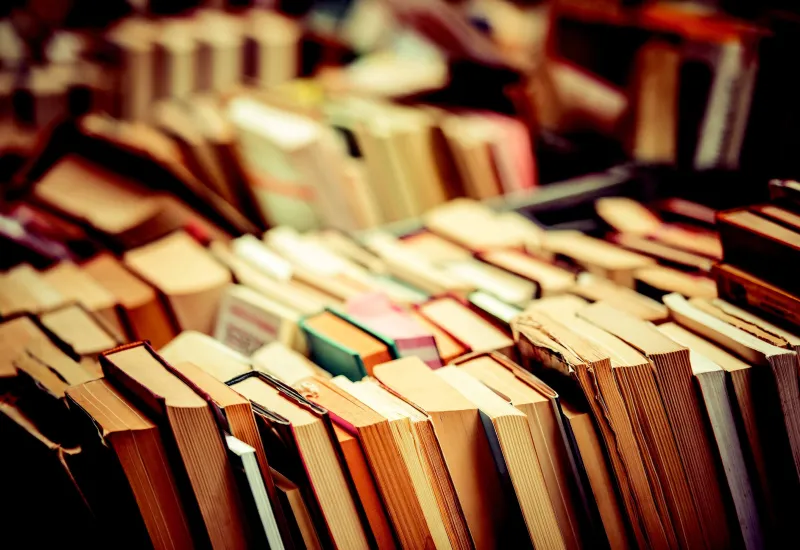 Литературно-олимпиадная программа