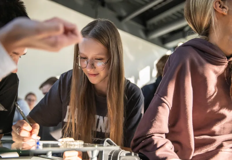 Мир современного английского языка: accuracy vs fluency