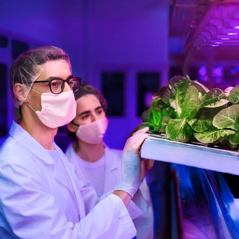 Неделя агротехнологий с «Вегой»! Неделя агротехнологий с «Вегой»!